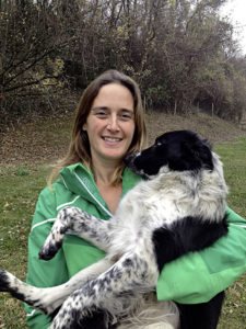 chiens troupeau